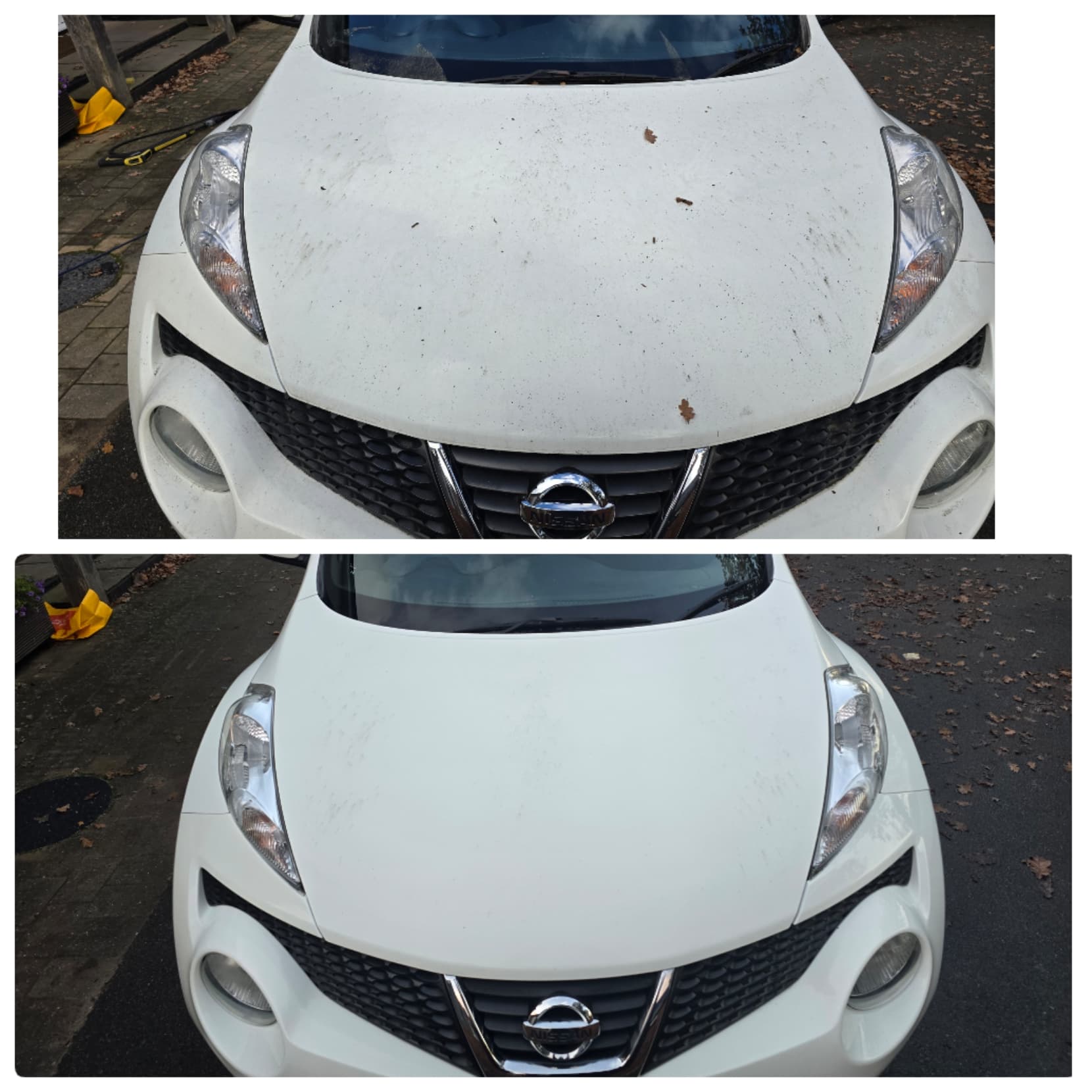 Tree sap damage being removed from a car bonnet by Blue Horizon Detailing Warwickshire