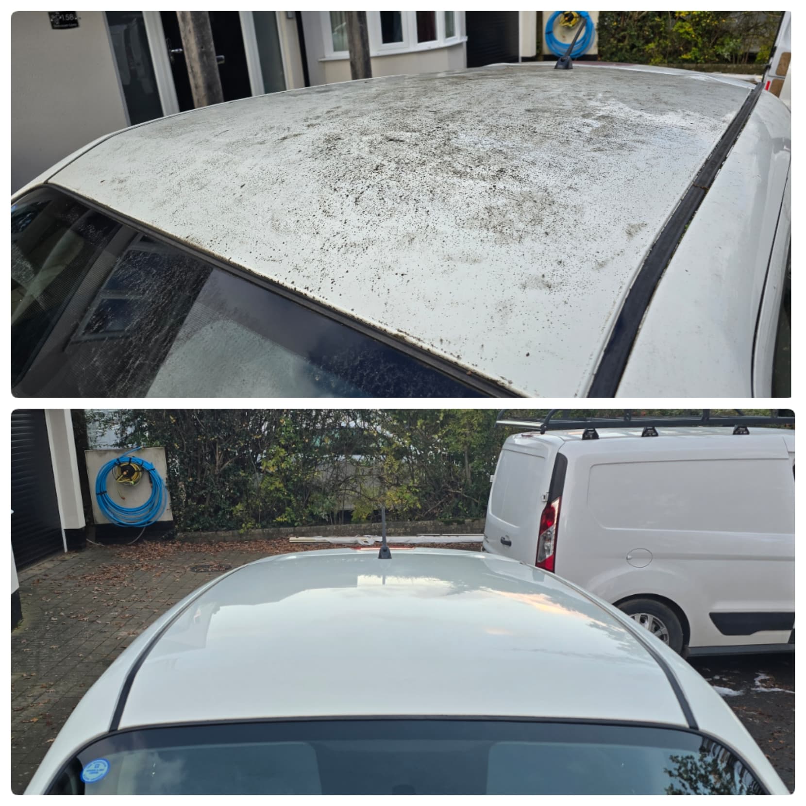 Tree Sap Removal — Nissan Juke — Blue Horizon Detailing result